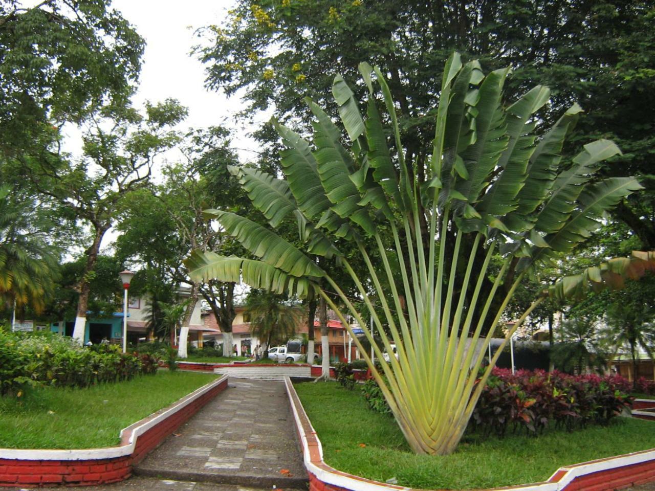 Hotel Casa Trujillo Norcasia エクステリア 写真